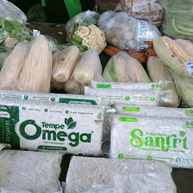 TEMPE OMEGA DAN SANTRI